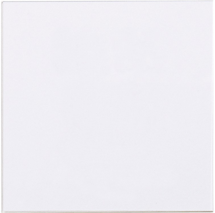 Ersatzglasscheiben (10) MCP-Gehäuse 70490x/7048xx und 761694/97, 1 VE = 10 Stck.