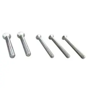 [019206.10] Befestigungsschrauben 70 mm Länge Schrauben-Set für Schutzbeschlag           Türdicke 60-65 mm